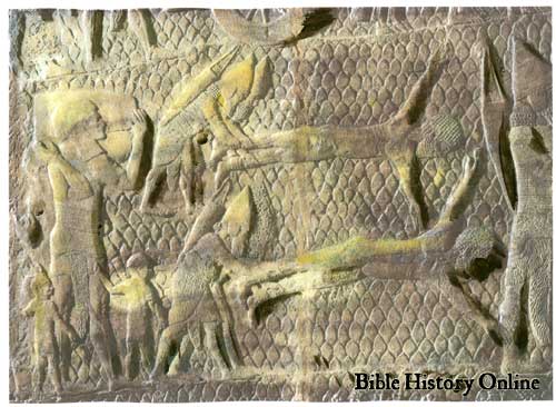 Assyrian Guard Soldiers of Sennacherib