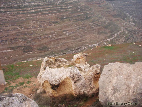 Altar of Stone Found Near the Capital of the Northern Kingdom of Israel 