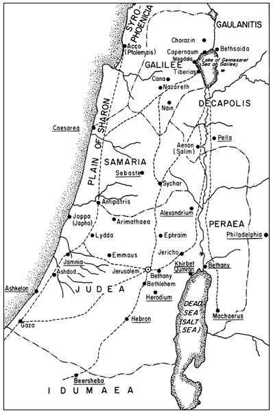 palestine_nt_times.gif