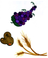 Olives_Grapes_Wheat.gif