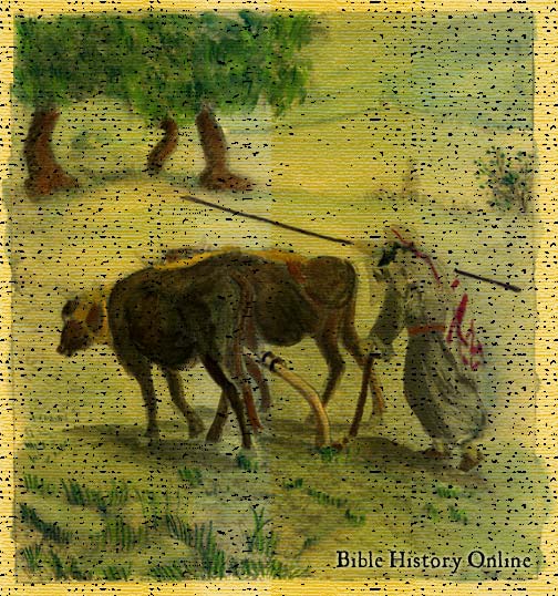 Painted Drawing of a Farmer Plowing