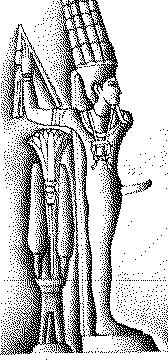 images/min6.gif