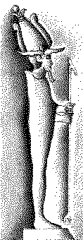 images/osiris6.gif