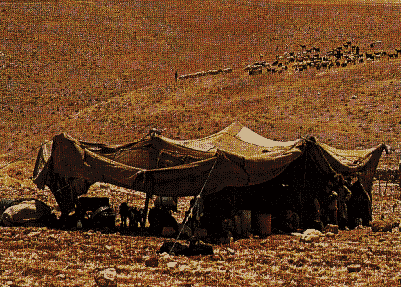 images/TENT1AA.gif